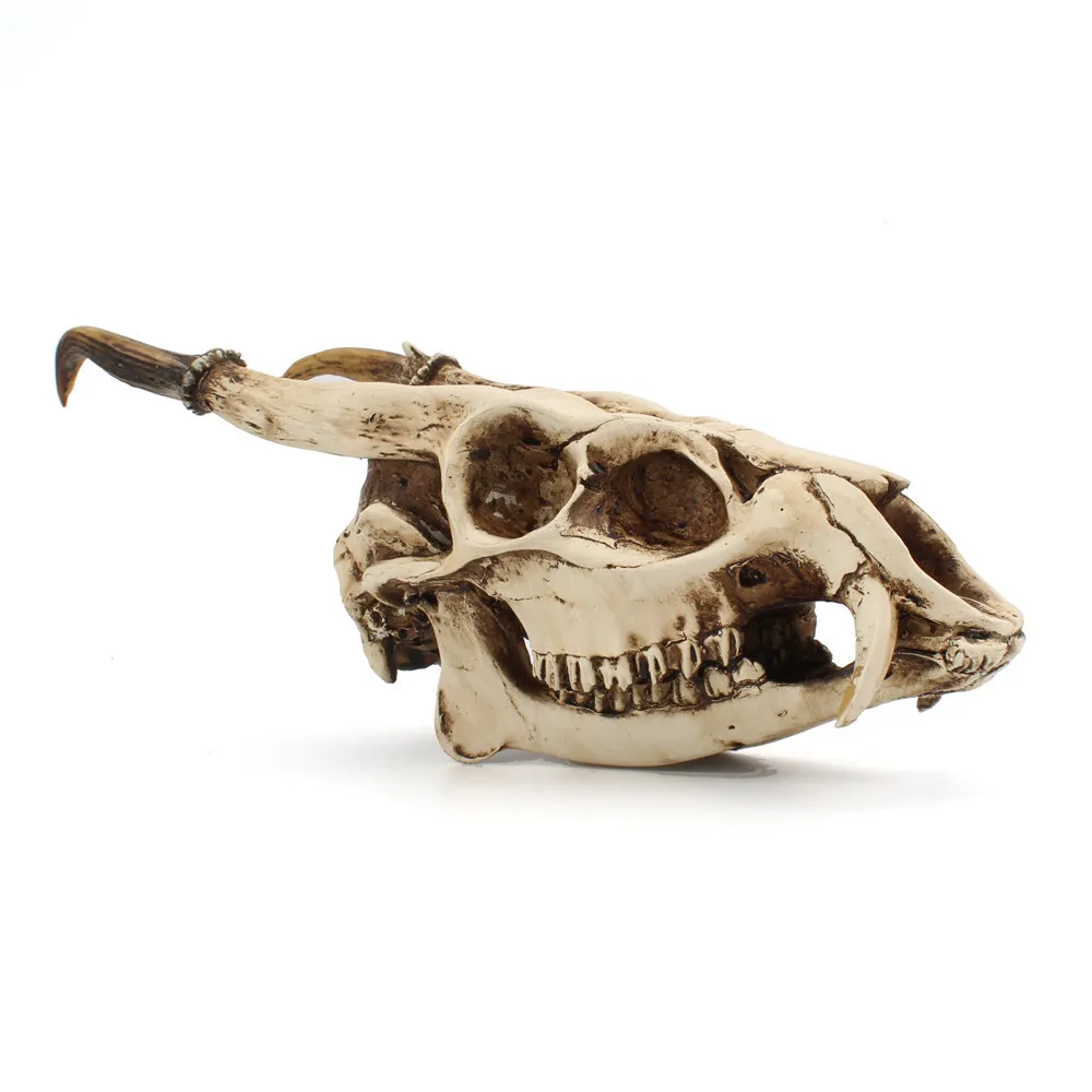 

24cm retro simulation stereoscopic goat Skeleton decoration Skull Sculpture Teaching Animal Horn Sheep Figurine Statue