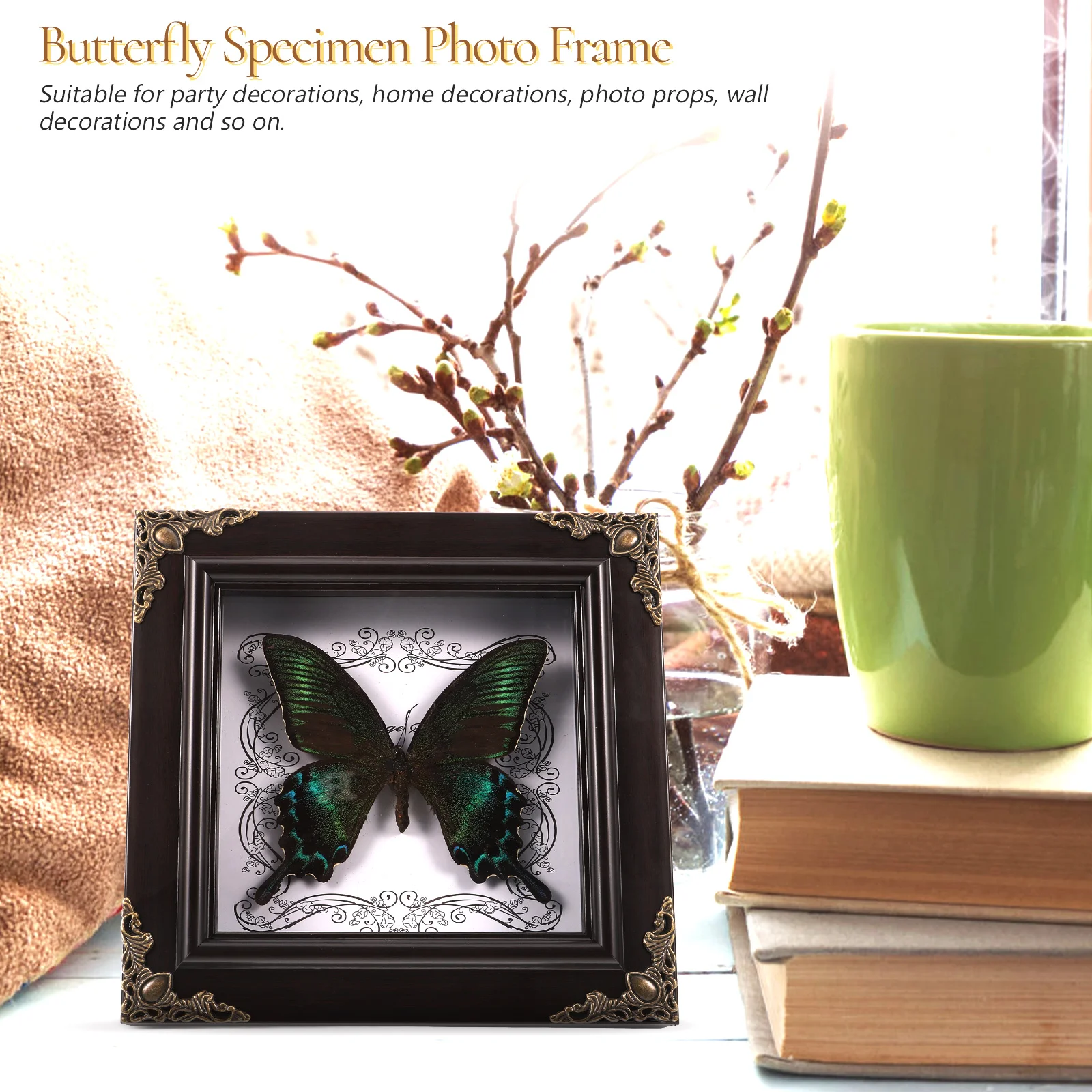 Образец бабочки фоторамка дисплей настольный домашний декор монарх таксидермия