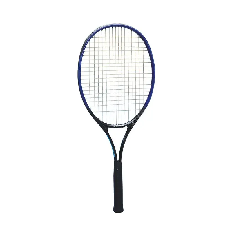 

Теннисная ракетка-удобная, легкая и прочная ракетка для пиклбола Удобное, легкое и прочное весло для пиклбола Rac