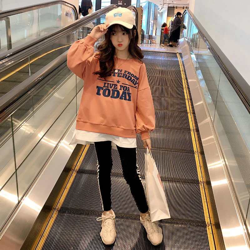 

Girls Suit Sweatshirts +Pants Cotton 2Pcs/Sets 2022 Elegant Spring Autumn Thicken High Quality Sports Sets Kid Baby Children Clo