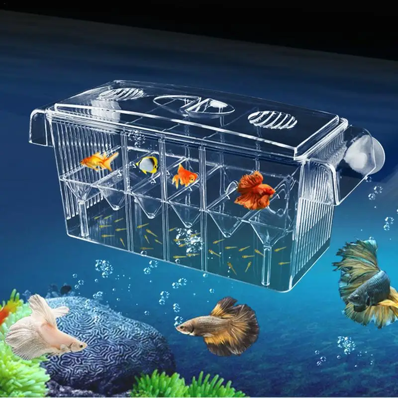 

Fish Tank Breeder Box Aquarium Fish Breeding Box Acrylic Fish Tank Hatching Incubator Box Shrimp Clown Fish Guppy Breeder Box