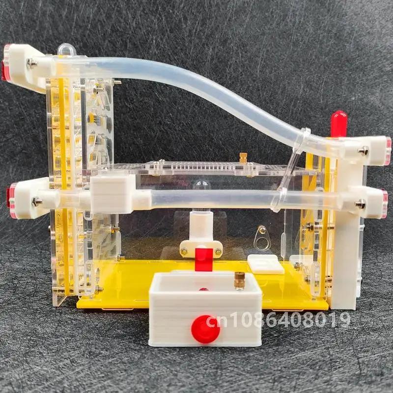 T Design DIY Ant Farm с зонами для кормления Акриловое муравье гнездо Насекомое House Villa Anthill