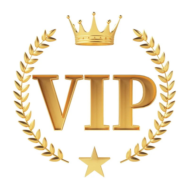 

VIP payment special link
