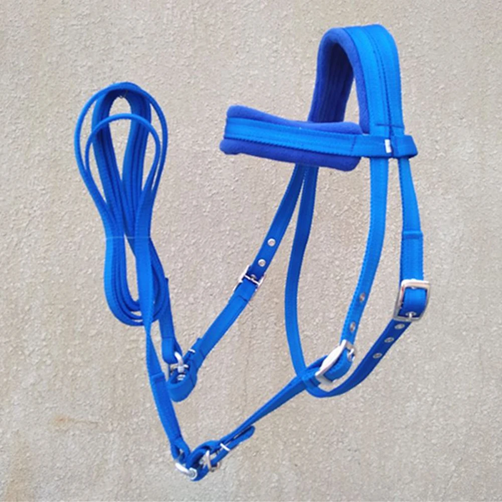 

Bridle Water Reins Sporting Sturdy Wear-resistance Accessories Blue Harness Equestrian Supplies Outdoor PP Webbing
