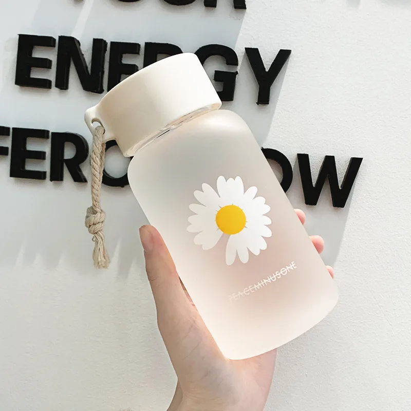 

500ml Plastic Straw Cup Cute Daisy Flower Bear Cup Transparent Water Bottles Cartoon Drinkware Frosted Leak-proof Cup