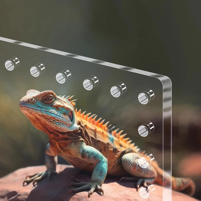 Магнитный акриловый чехол корпус для древесного тарантула среда обитания