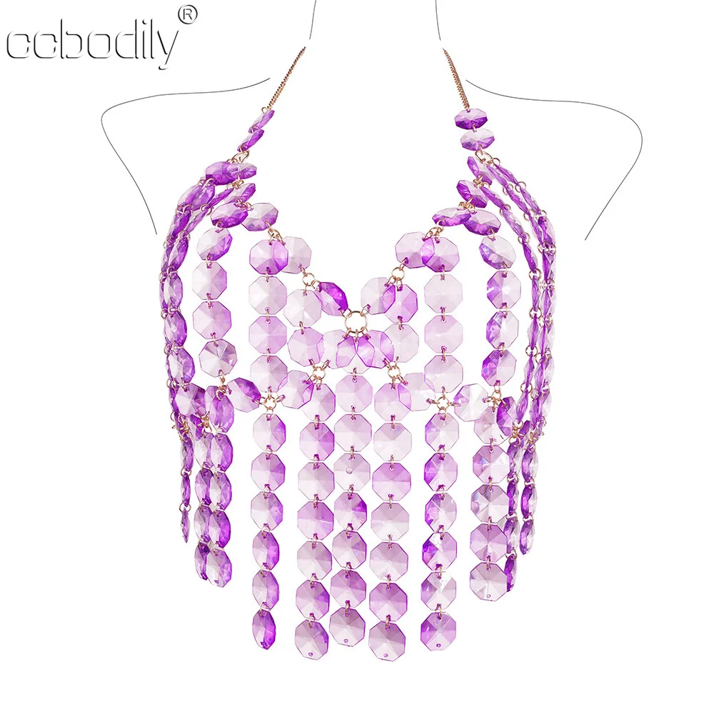 

Women Acrylic Decoration Body Chain Sexy Halter Bra Chest Chain Gothic Tassel Backless Top Chain Fashion Nightclub Body Jewelry