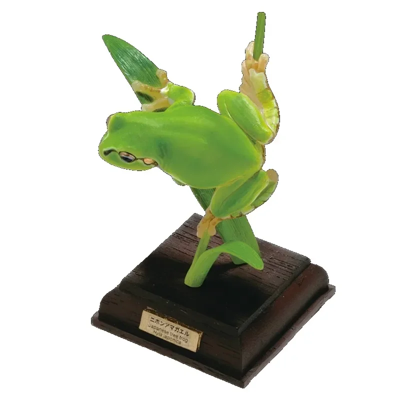 NATURE TECHNI COLOR Hasad Series Gashapon Toys Имитационная модель Украшения Коробка Игрушки