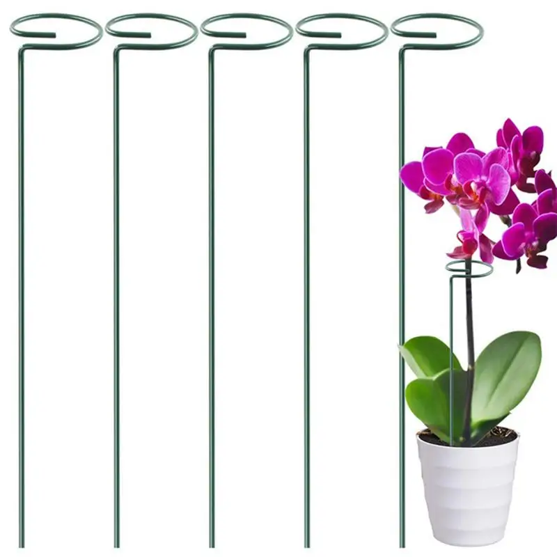 

Plant Stakes 5pcs Plant Pole For Outdoor Single Stem Support Stake Plant Cage Support Rings For Garden Flowers Rose Tomatoes