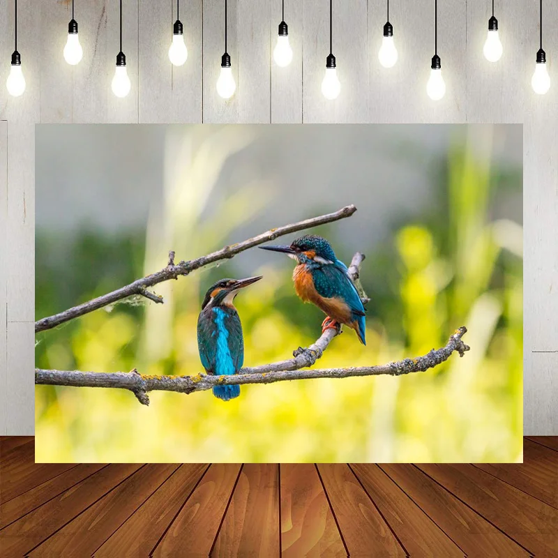 Сокровищенные птицы лебеди и совы летайте свободно с днем рождения вечерние фон