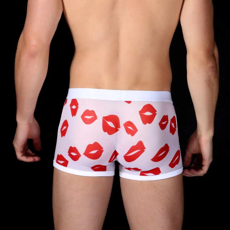 2 Pcs/Lot Men's Transparent Panties Breathable Mesh Fashion Charm Comfortable Sexy Underwear Men's Large Size Boxer