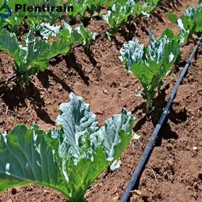 Новая технология капельного орошения 10 см