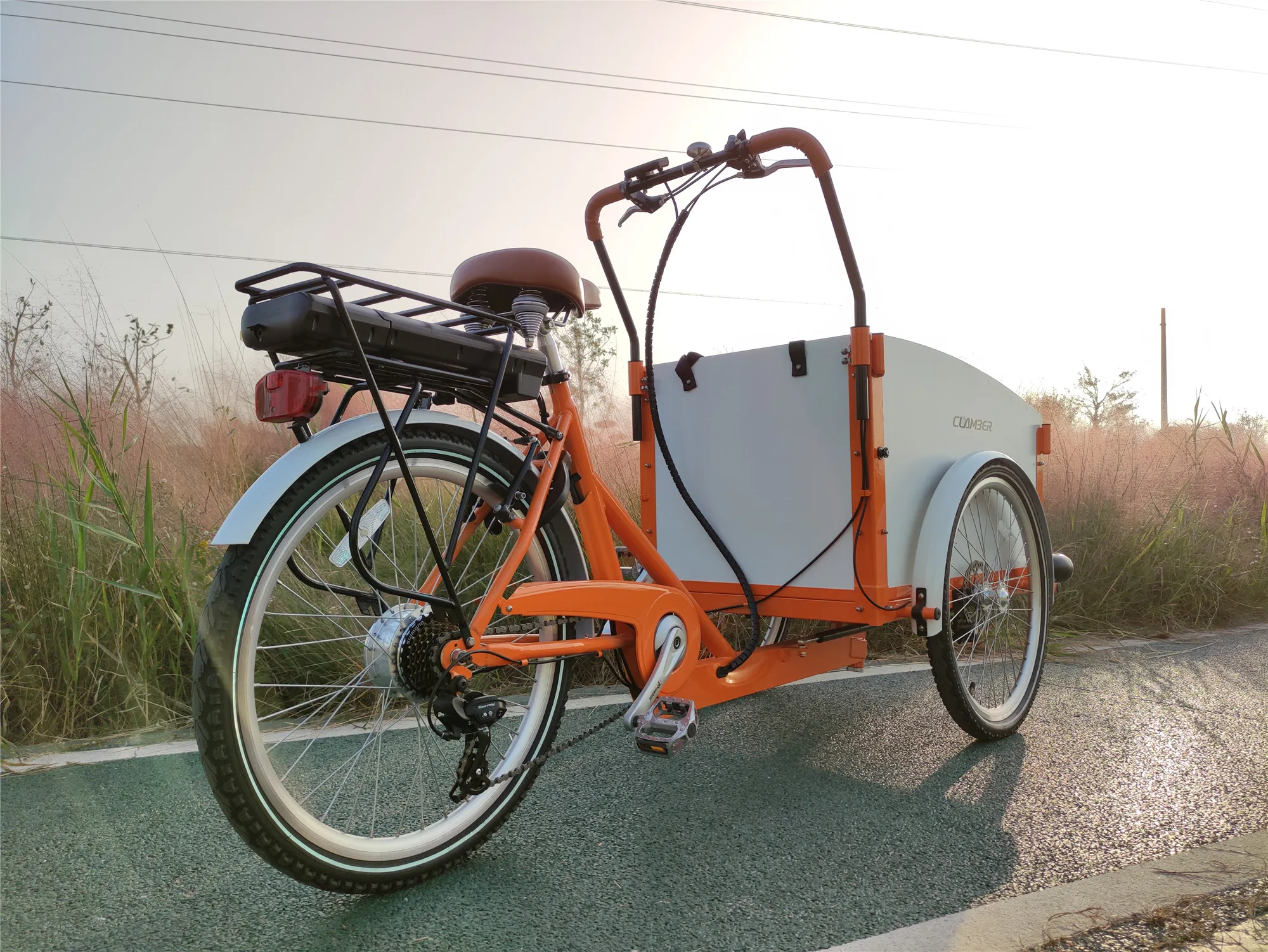 

city bike model UB-9034E clamber/Nanyang vehicle cargo bike trike