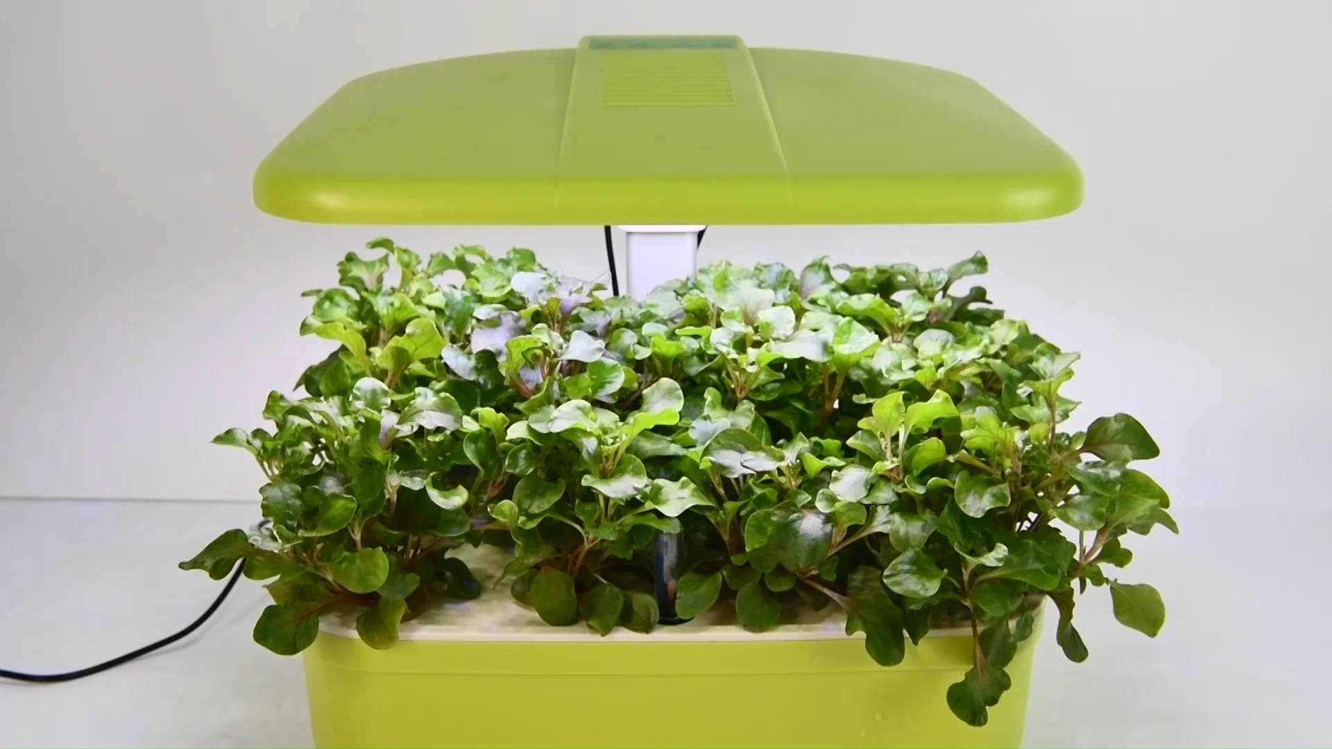 

Indoor Smart Hydroponic Grow Systems For Plant Home Garden Growth Hydroponic System Grow Box Kit