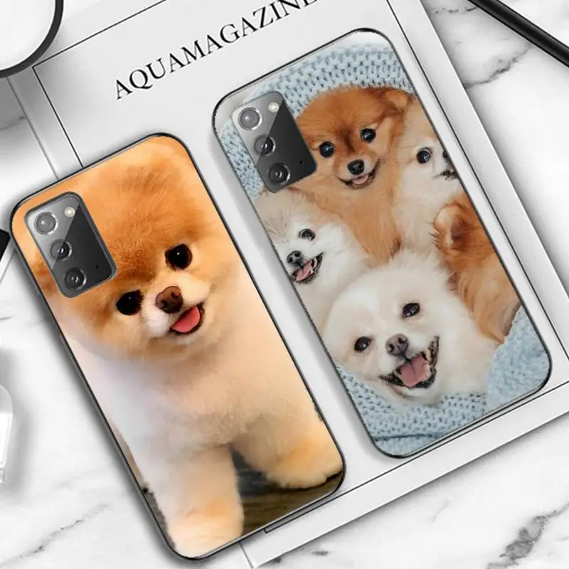

Pomeranian dogs Phone Case for Samsung Note 5 7 8 9 10 20 pro plus lite ultra A21 12 72