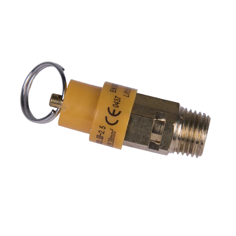 

Safety Valve Air filter Air Compressor Spare Parts