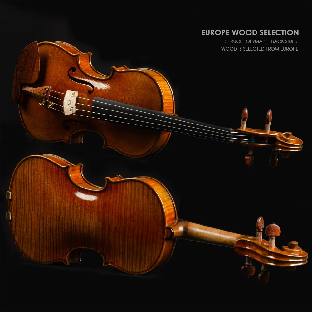 CHRISTINA Скрипка для профессионалов S400A с фурнитурой Snakewood европейская