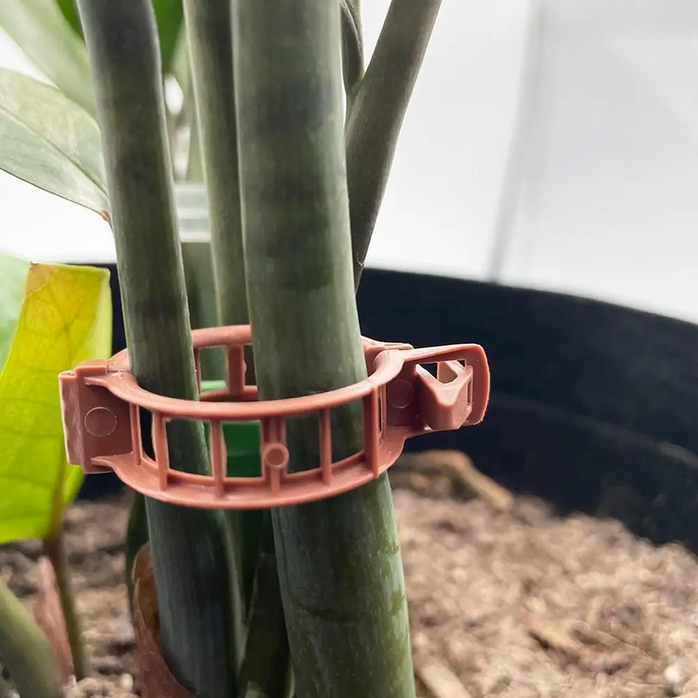 

20pcs Tomato Clips Trellis Reusable Protection Grafting Vegetable Fixing Tool Garden Plant Flower Vegetable Support Clip Supplie