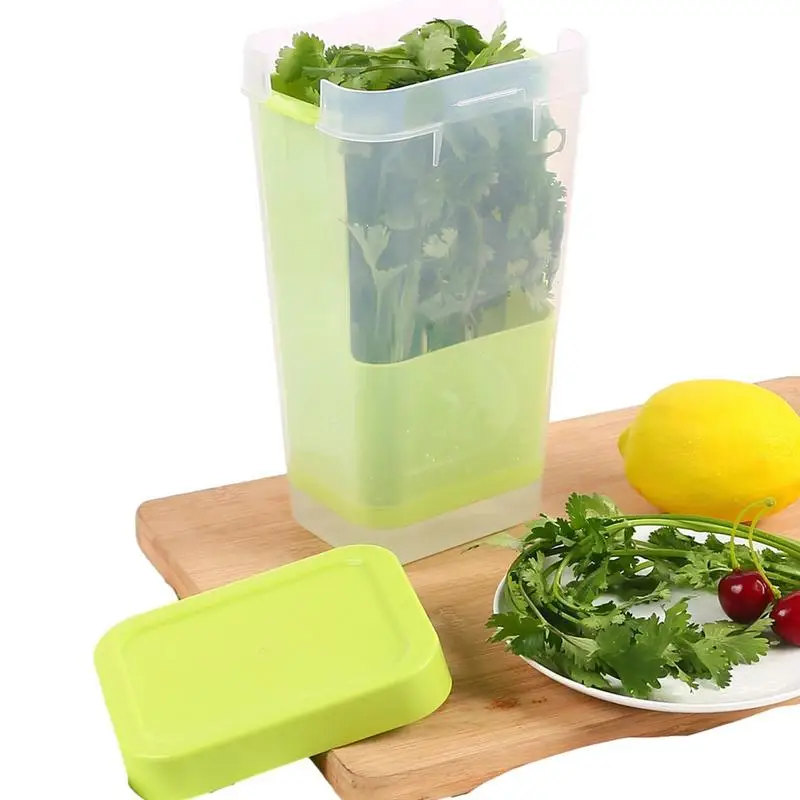 

Vanilla Fresh-Keeping Cup Kitchen Premium Herb Saver Gadgets Keeping Green Storage Box Organizer Container