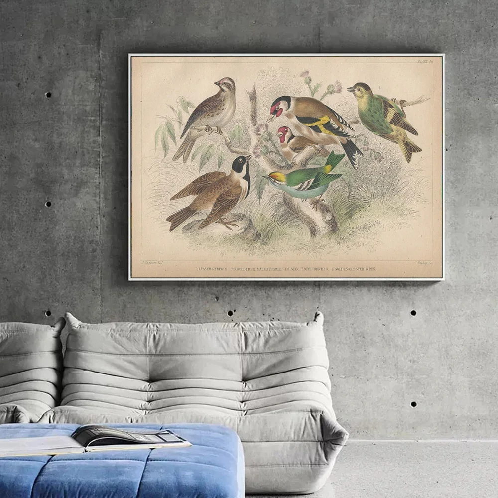 Винтажный плакат с изображением природы Оливера золотого Смита история земли и