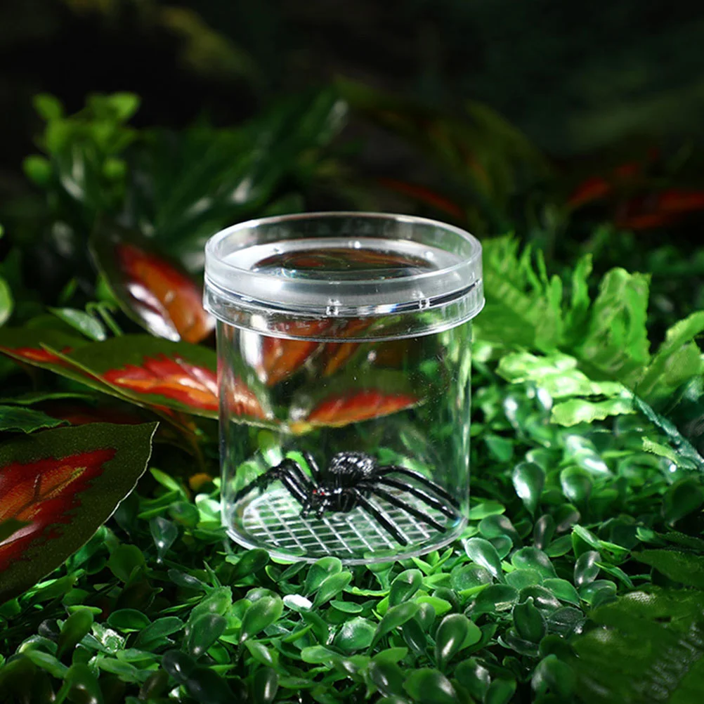 5-шт стеклянная чашка для наблюдения за насекомыми студенческий пластиковый