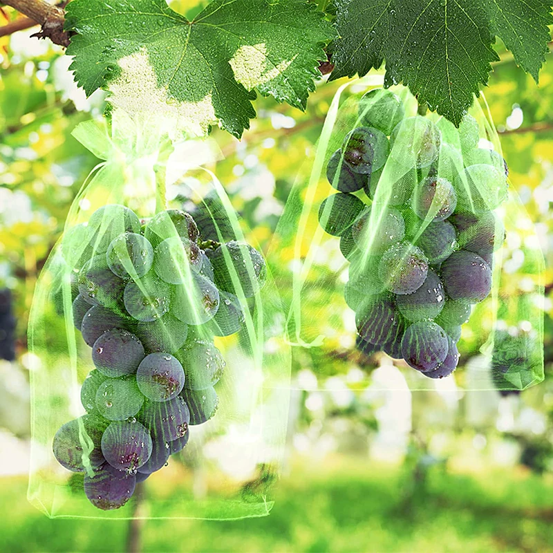 30 шт./набор мешки для защиты фруктов и винограда