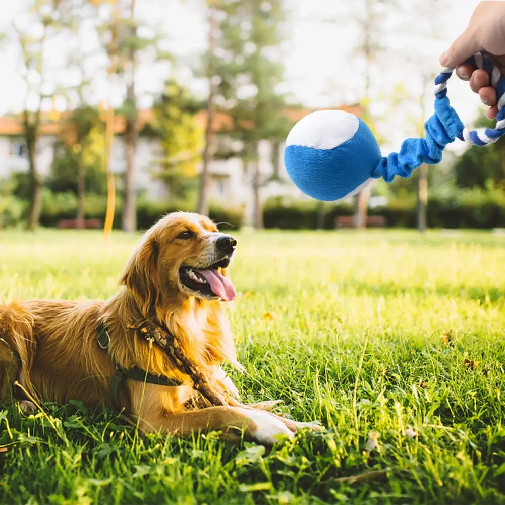 

Игрушки для домашних животных, аксессуары для собак, Шариковая игрушка, плюшевые пищалки, устойчивые к жеванию интерактивные предметы для д...