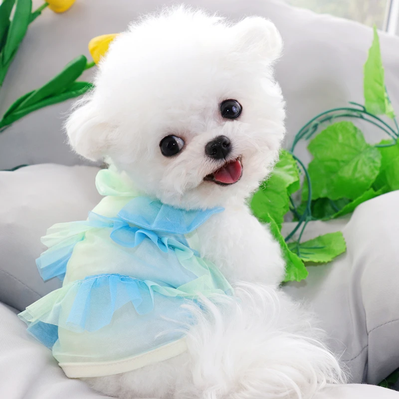 

Cool Mesh Dog Clothes Summer Teddy Camisole Puppy Breathable Vest Bichon Pomeranian Popular Home Clothes