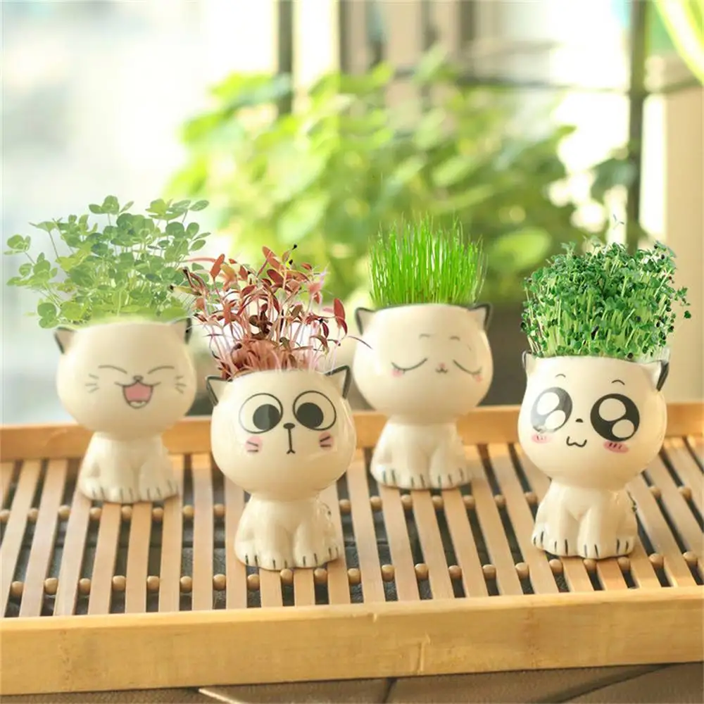 

Ceramic Flowerpot Mini Cat Shaped Cartoon Cute Potted Plant Desktop Potted Expression Cat Plant Pot Desk Decorate Small Ornament