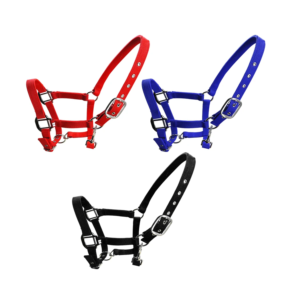 

Padded Halter Pony Bridle Head Collar Adjustable Great Resilience Rustproof Solidness Practical Racing Saddle Pad