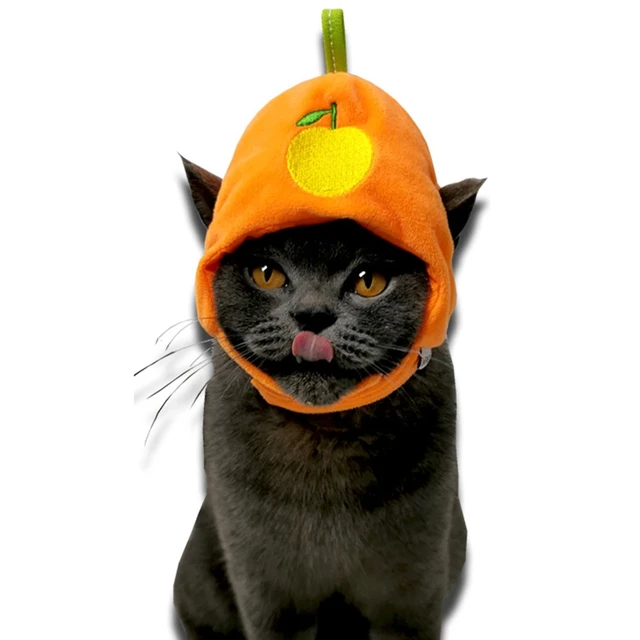Chapéu bonito para gato desenho dos desenhos animados vestir-se traje  animal de estimação boné manter quente headwear cosplay acessórios para  gatos cães pequenos y5gb - AliExpress