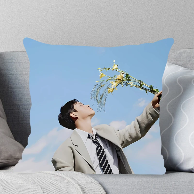 Универсальный Квадратный Чехол Для Подушки Домашнего Офиса