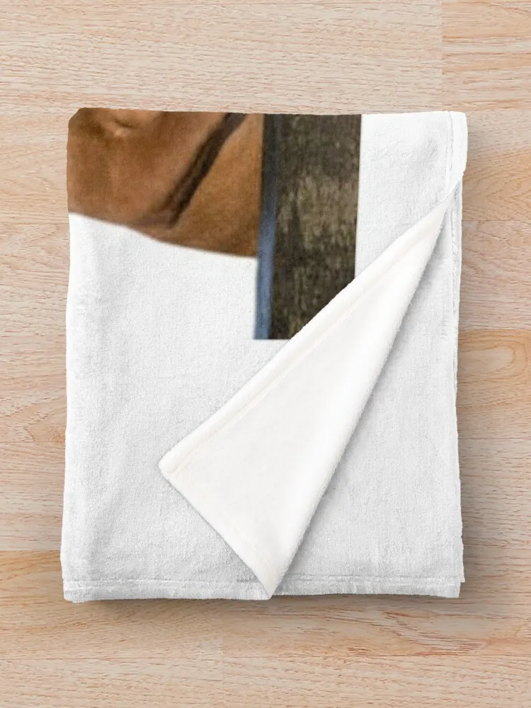 Декоративное одеяло с изображением собак Viszla