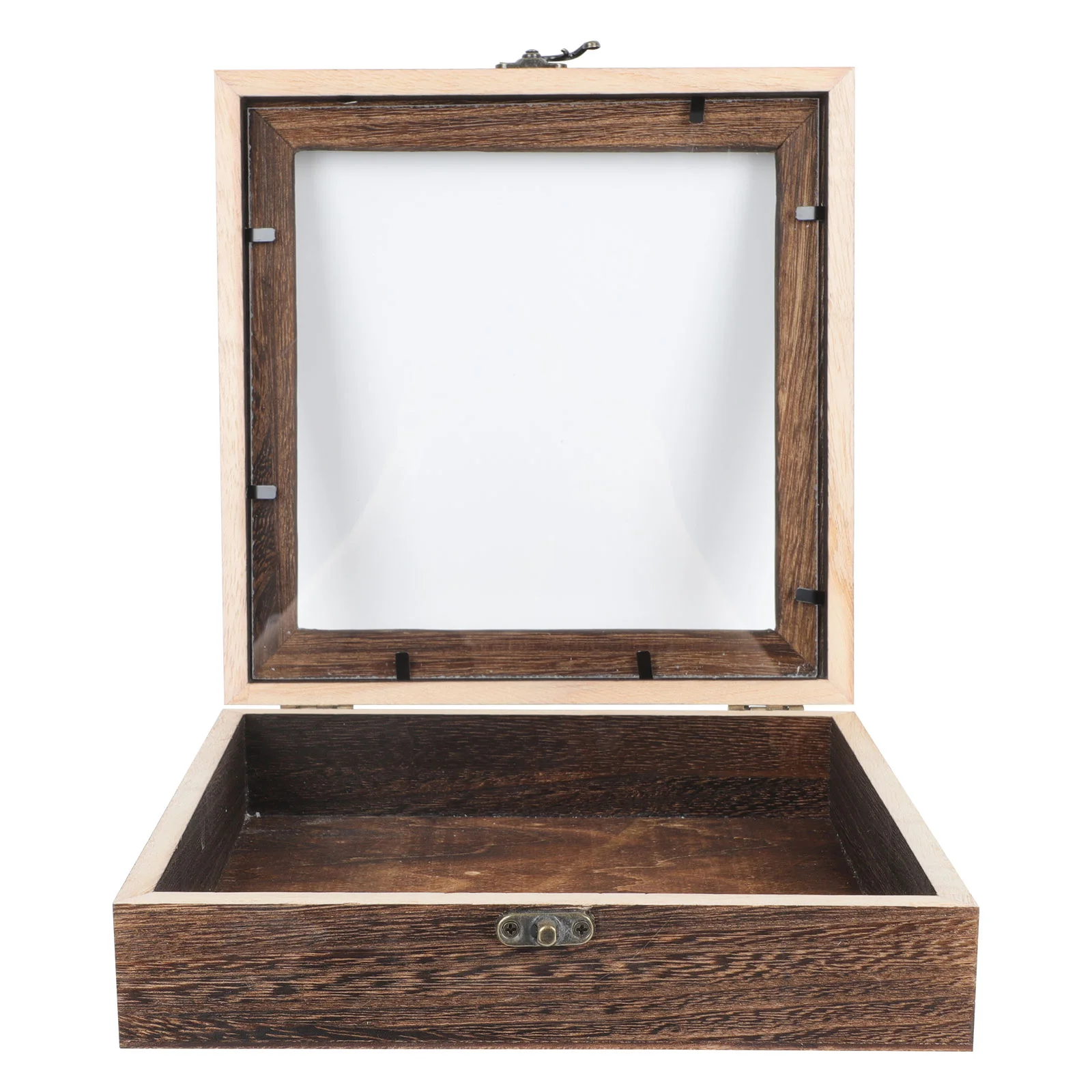 

Insect Specimen Box Plant Holder Necklace Container Wood Practical Display Case