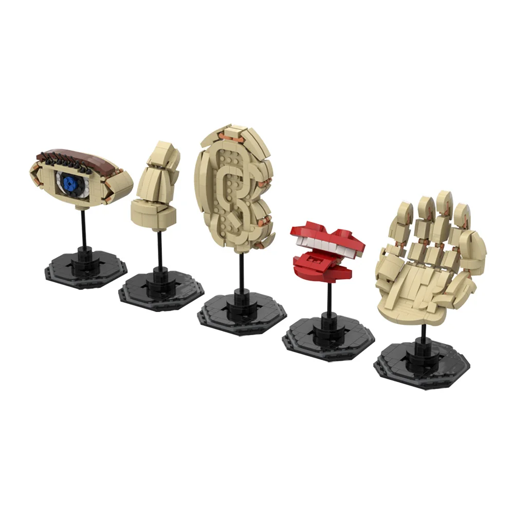 

Enlightenment Cognitive Toys MOC-49680 Diy Educational The Five Senses building blocks for Hands/Eyes/Ears/Nose/Mouth brickGifit