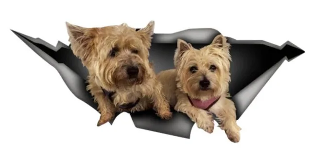 

Baby Terrier Sticker Bonding 20CM