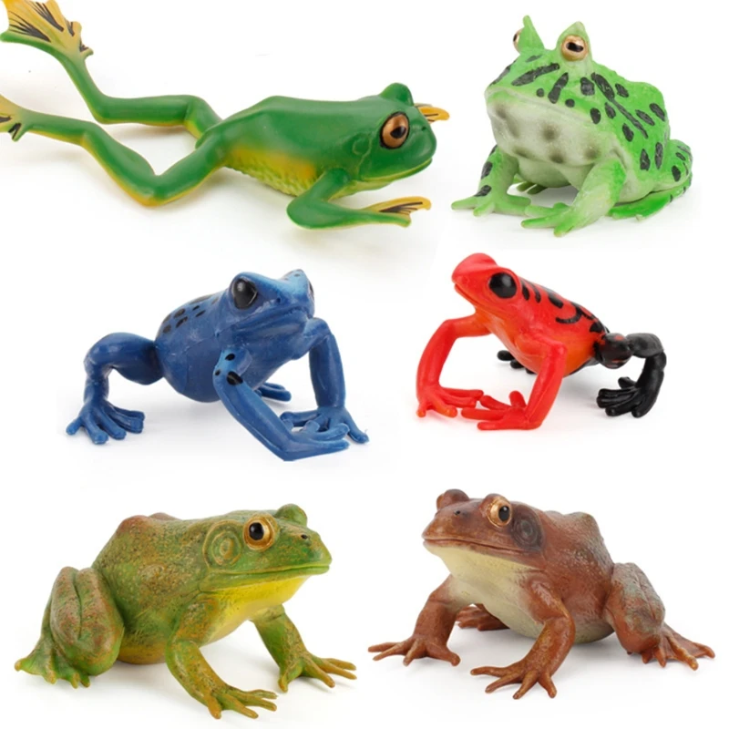 

Gag Gift for Kids&Adults Realistic for FROG Kids Party Favor Toys for Creative Supplies for Age 6+ Kids/Adults