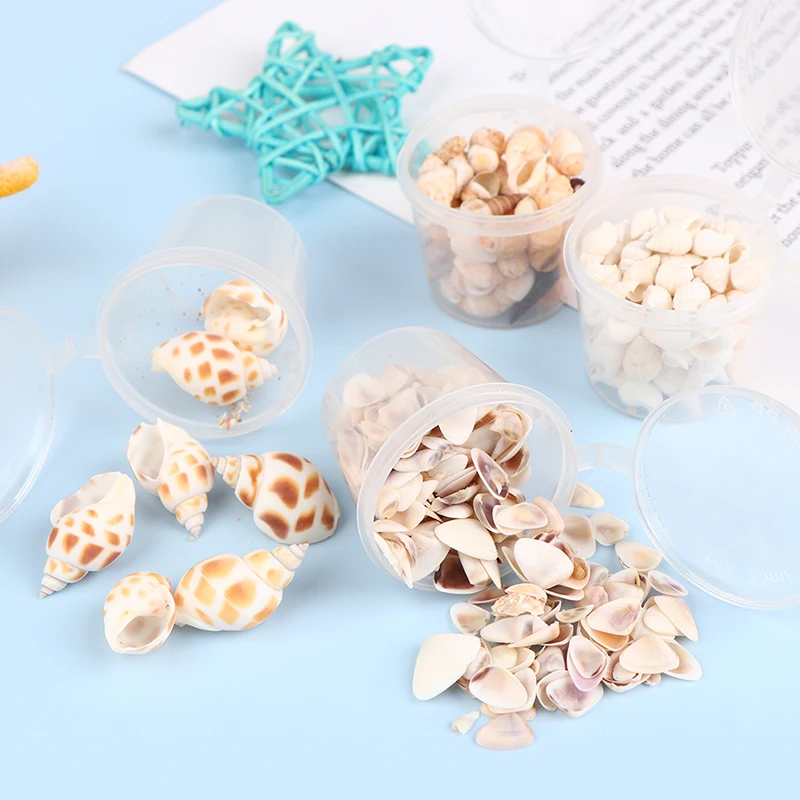 

1 Box Fashion Beach Shells Sea Shells For DIY Ocean Wind Craft Decor Jewelery Craft Accessories Holes Shell Charm Nail Shell