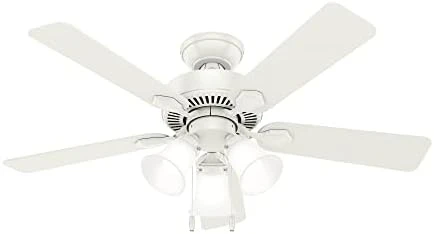 

Indoor Ceiling Fan with LED Lights and Pull Chain Control, 44", Fresh White