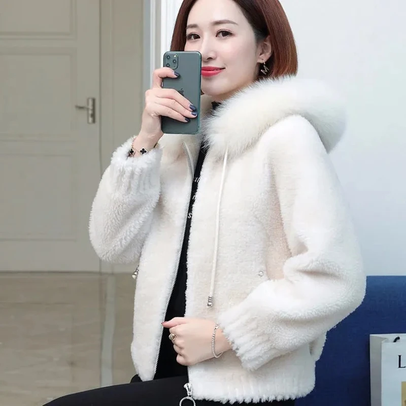 Winter Fur Collar Hooded Imitation Mink Double-Sided Fleece Plush Soft Coat Women Imitation Sheep Shearing Jacket Zipper Parkas