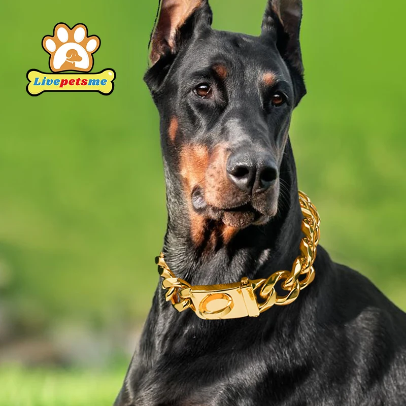 Heavy Duty Gold Dog Collar with Solid Buckle 304 Stainless Steel Cuban Link Chain Luxury Metal Pets Walking Collar Choker
