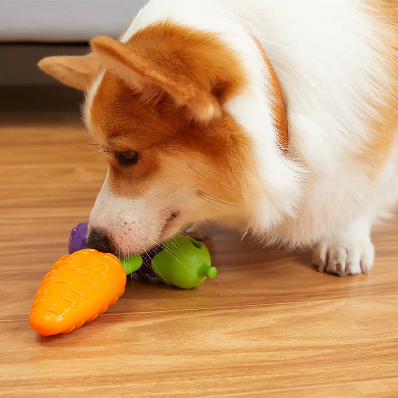 питание собак. чихуахуа. чихуахуа овощи. аргентинские чихуахуа. еда для чихуахуа.