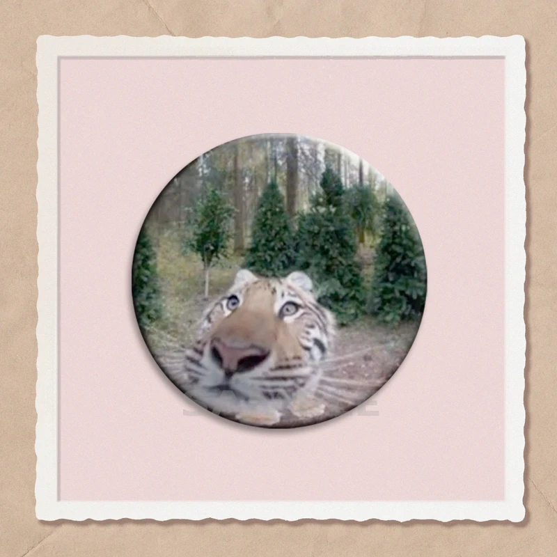 

Пластиковый значок с изображением кота 58 мм