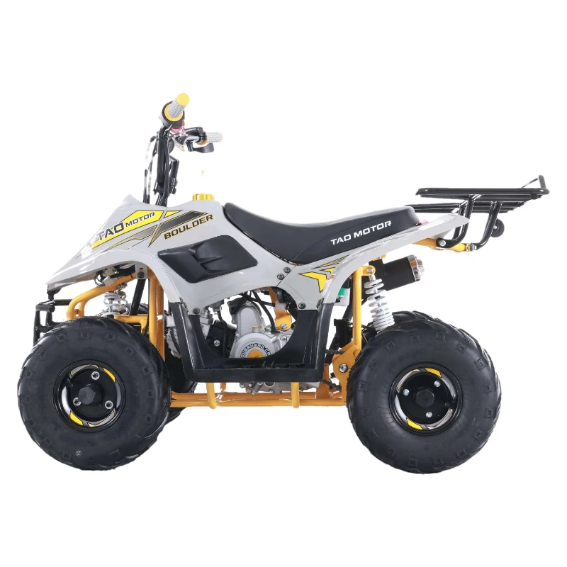 

Tao Motor New Design Kids ATVs 110cc ATV for Sale