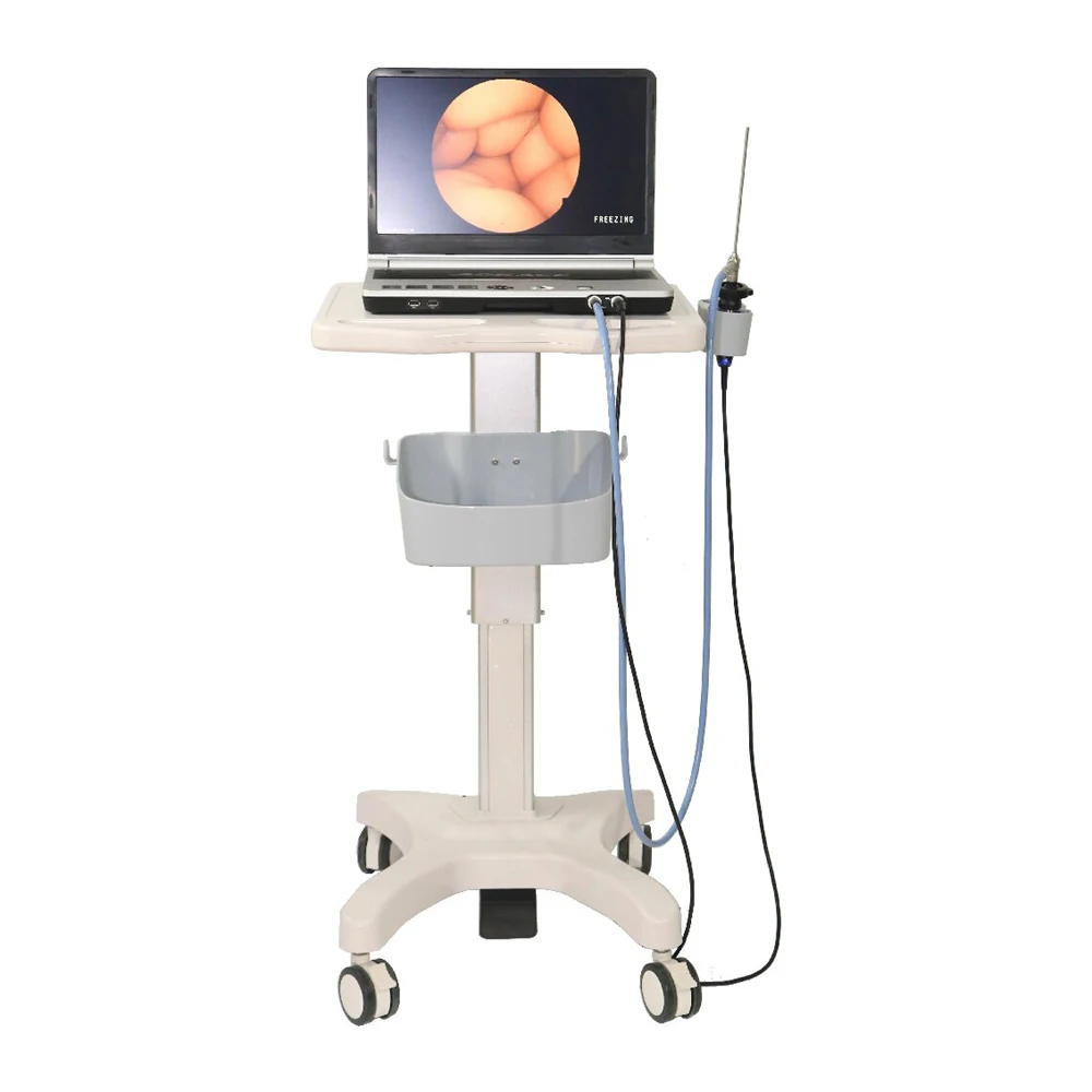 SmartFvet HV-D03 Ветеринарное оборудование Эндоскопическая система Электронная