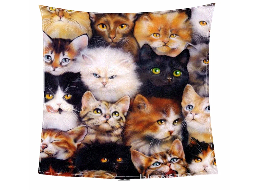 

band and cat league fashion cartoon blanket beach mat blanket baby blanket