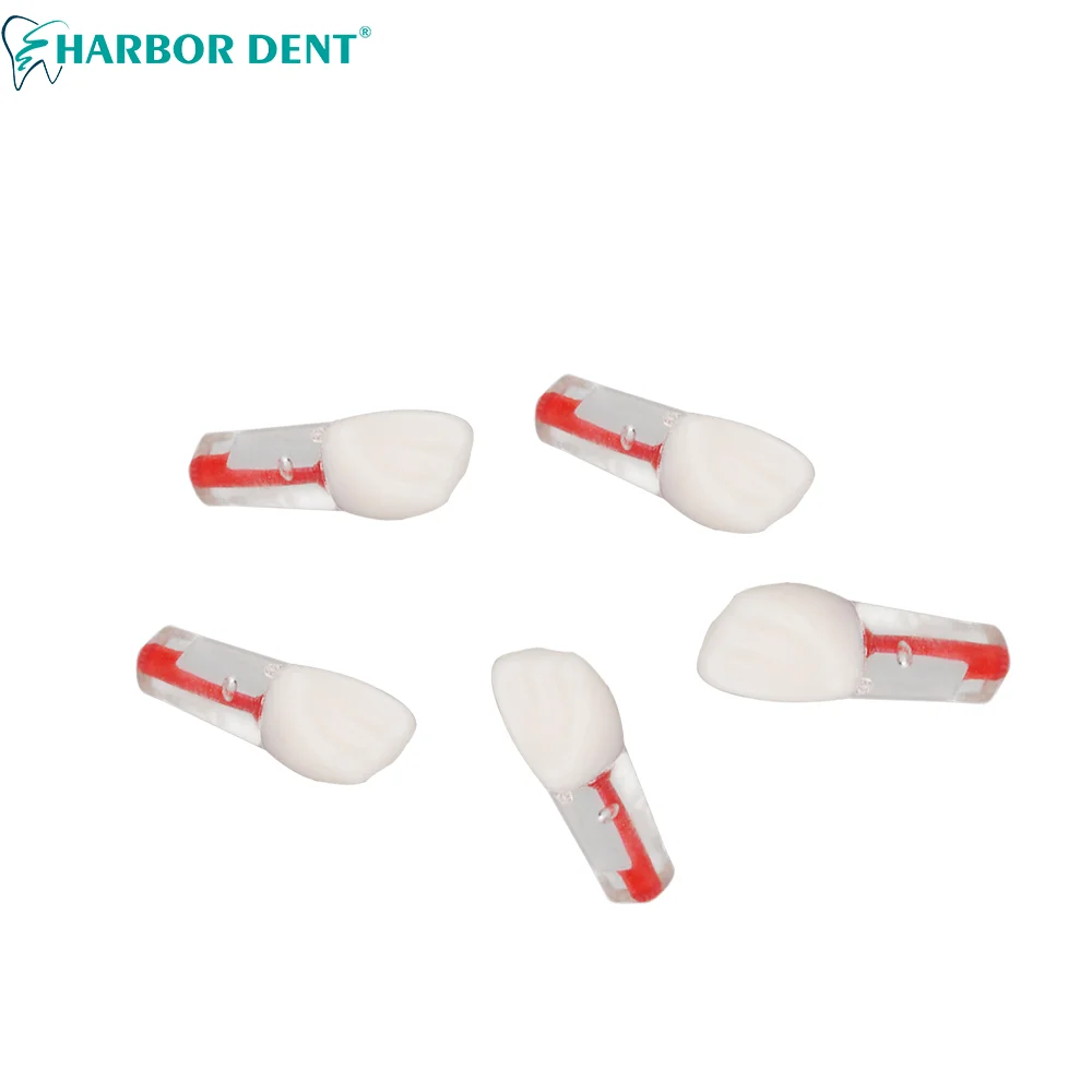 5 шт. стоматологический Эндодонтический корневой канал модель для обучения