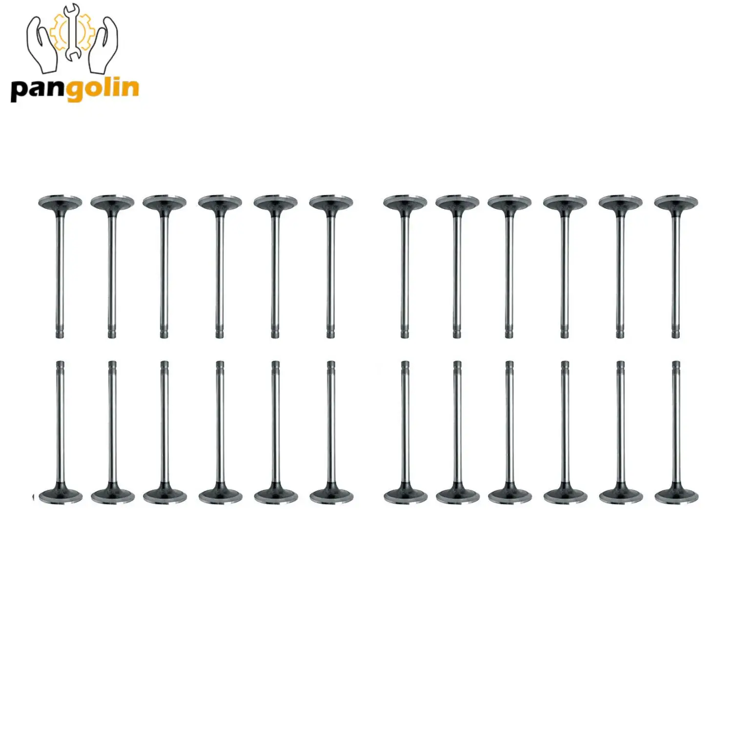 

Комплект впускного и выпускного клапана, 24 шт., для LAND ROVER DISCOVERY JAGUAR XF 306DT 3,0 D TDV6, автомобильные Сменные аксессуары, гарантия 3 моли