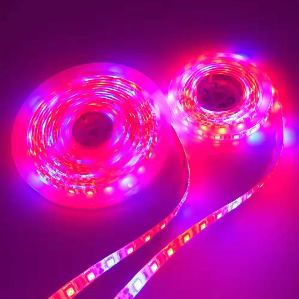 

led grow light strip 5M 5050 Full Spectrum Flower Plant Phyto Growth lamp for indoor Greenhouse Hydroponic grows lights 12V tent