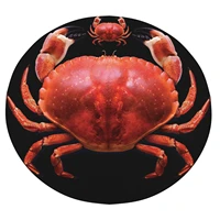 2022 novelty round blanket air conditioner personality suitable for home soft comfortable warmth king crab 119cm152cm